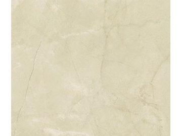 Marble Look Tile- Aragon