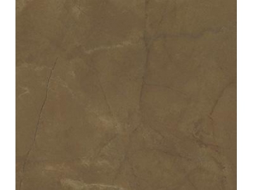 Marble Look Tile- Aragon