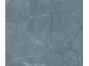 Marble Look Tile- Aragon