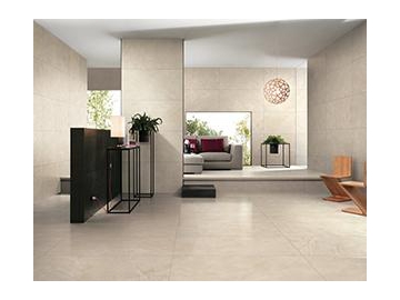 Marble Look Tile- Aragon