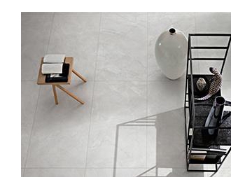Marble Look Tile- Aragon