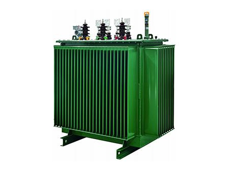 Oil Immersed Transformers, Series S11