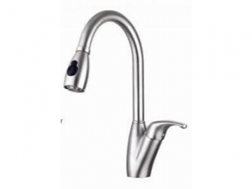 Pull-Down/Pull-Out Faucets