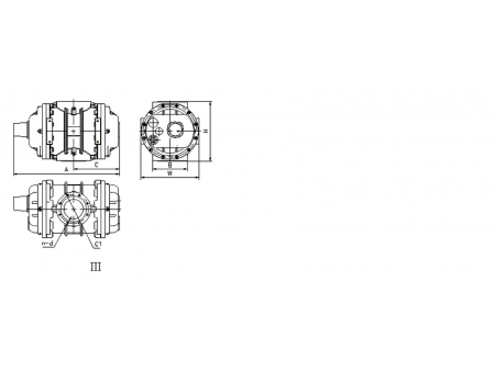 Gas Rotary Flowmeter (EVC)