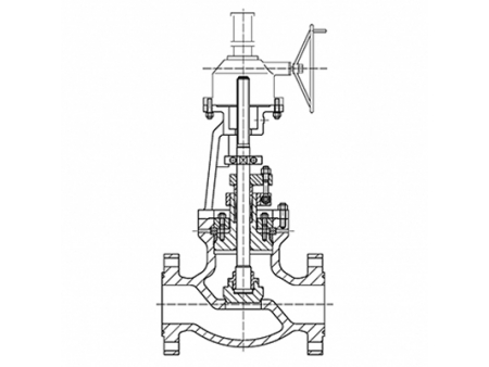 Globe Valves  Video