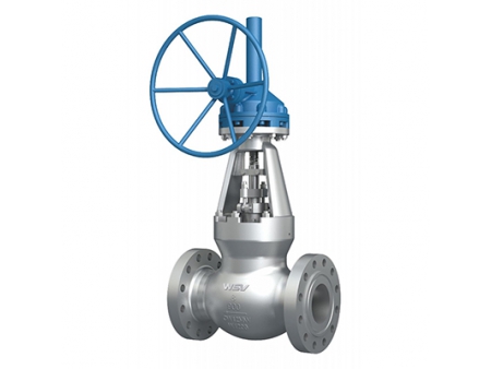 Globe Valves  Video