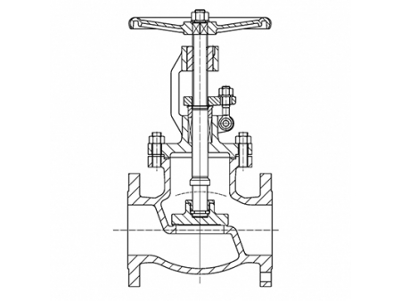 Globe Valves  Video