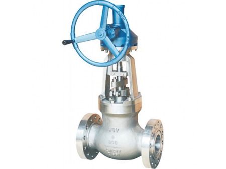 Globe Valves  Video