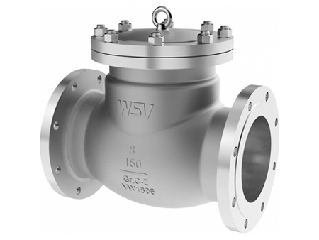 Check Valves  Video