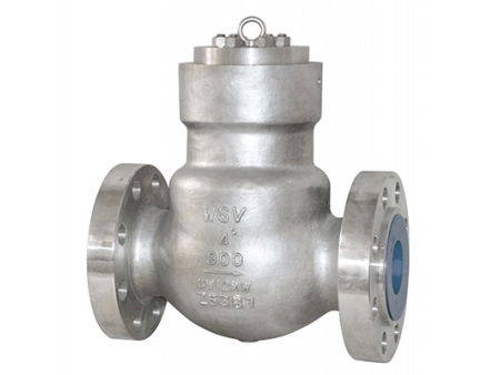 Check Valves  Video