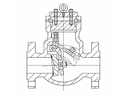 Check Valves  Video