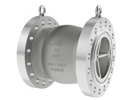 Check Valves  Video