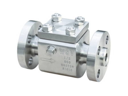 Check Valves  Video