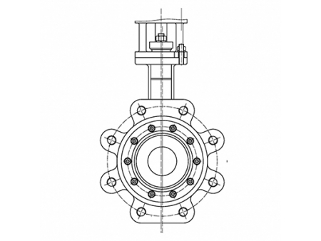 Butterfly Valves Video