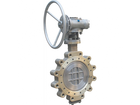 Butterfly Valves Video