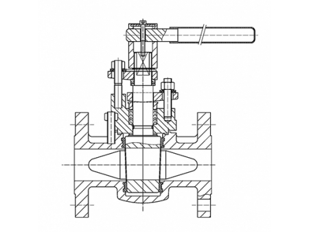 Plug Valves  Video