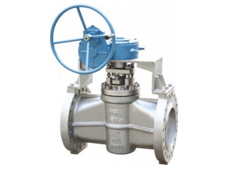 Plug Valves  Video