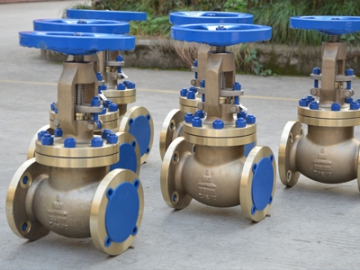 Nickel Aluminum Bronze Valves