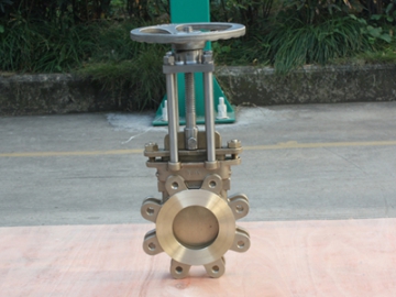 Nickel Aluminum Bronze Valves