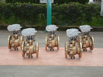 Nickel Aluminum Bronze Valves