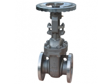 Duplex Stainless Steel Valves