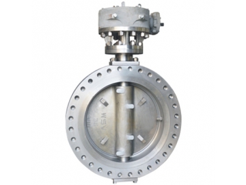 Duplex Stainless Steel Valves