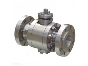 Duplex Stainless Steel Valves