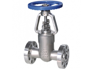 Hastelloy Valves