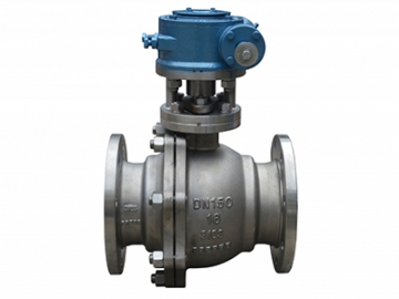 Stainless Steel Valves