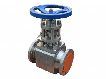 Stainless Steel Valves