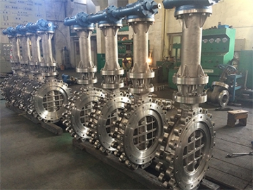 Super Austenitic Stainless Steel Valves