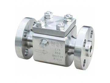 Zirconium Valves