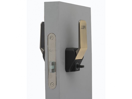 MG3813 Push Pull Mortise Lock