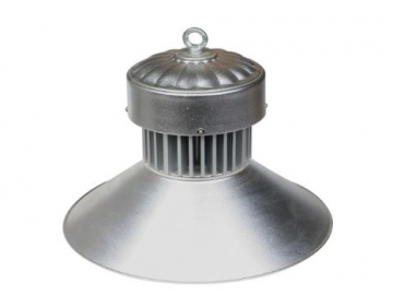 Outdoor LED Lighting Fixture