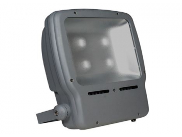 Outdoor LED Lighting Fixture