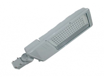 Outdoor LED Lighting Fixture