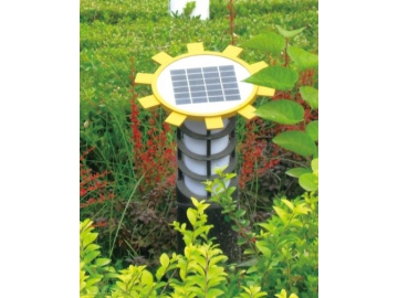 Solar Landscape Lighting