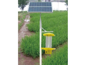 Solar Light Traps