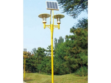 Solar Lamp Posts