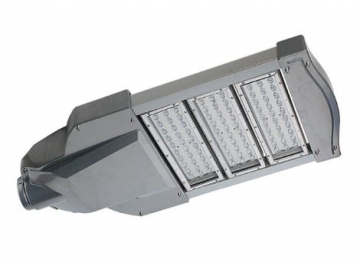 Outdoor LED Lighting Fixture