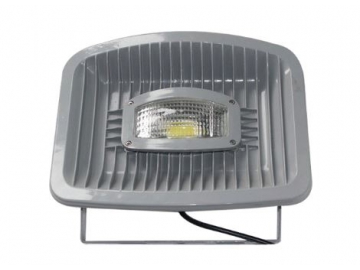 Outdoor LED Lighting Fixture