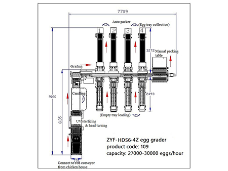 109 Egg Grader (30,000 EGGS/HOUR)