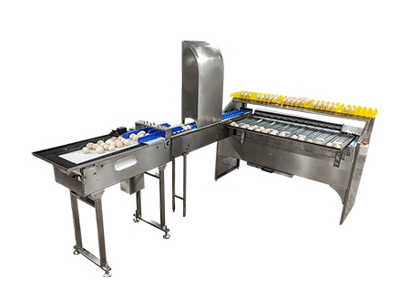 101BS Egg Grader (4,000 EGGS/HOUR)