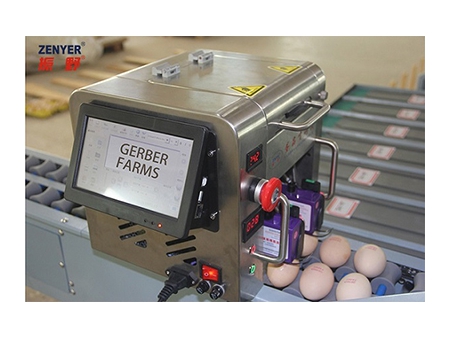 101BS Egg Grader (4,000 EGGS/HOUR)