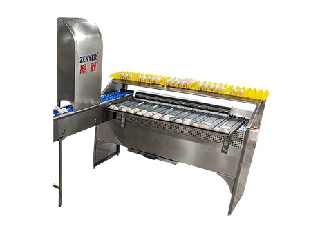 101BS Egg Grader (4,000 EGGS/HOUR)