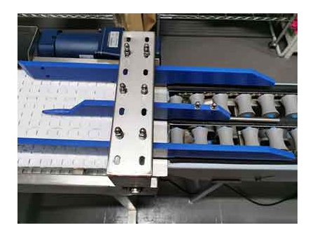 101B Egg Grader (4000 EGGS/HOUR)