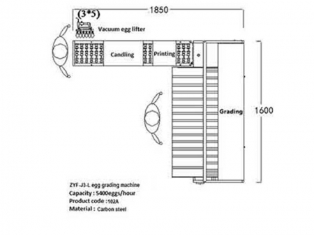 102A Egg Grader (5,400 EGGS/HOUR)