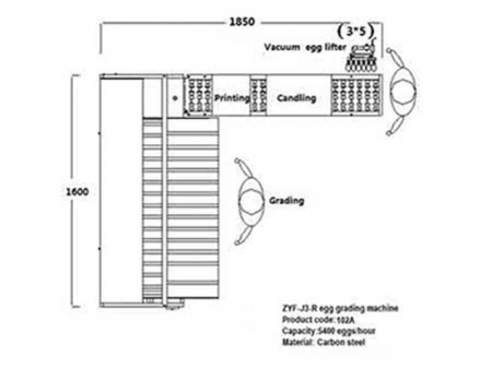 102A Egg Grader (5,400 EGGS/HOUR)
