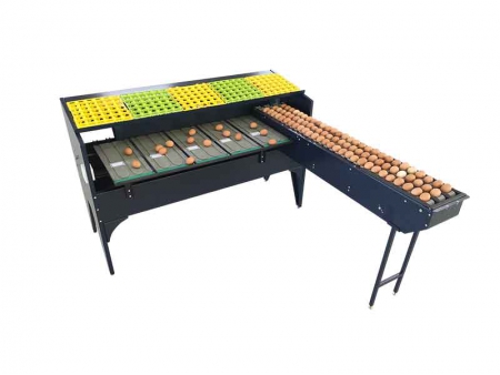 102A Egg Grader (5400 EGGS/HOUR)