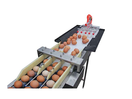 102B  Egg Grader (5400 EGGS/HOUR)